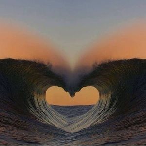 Meet your Posher, Alisha